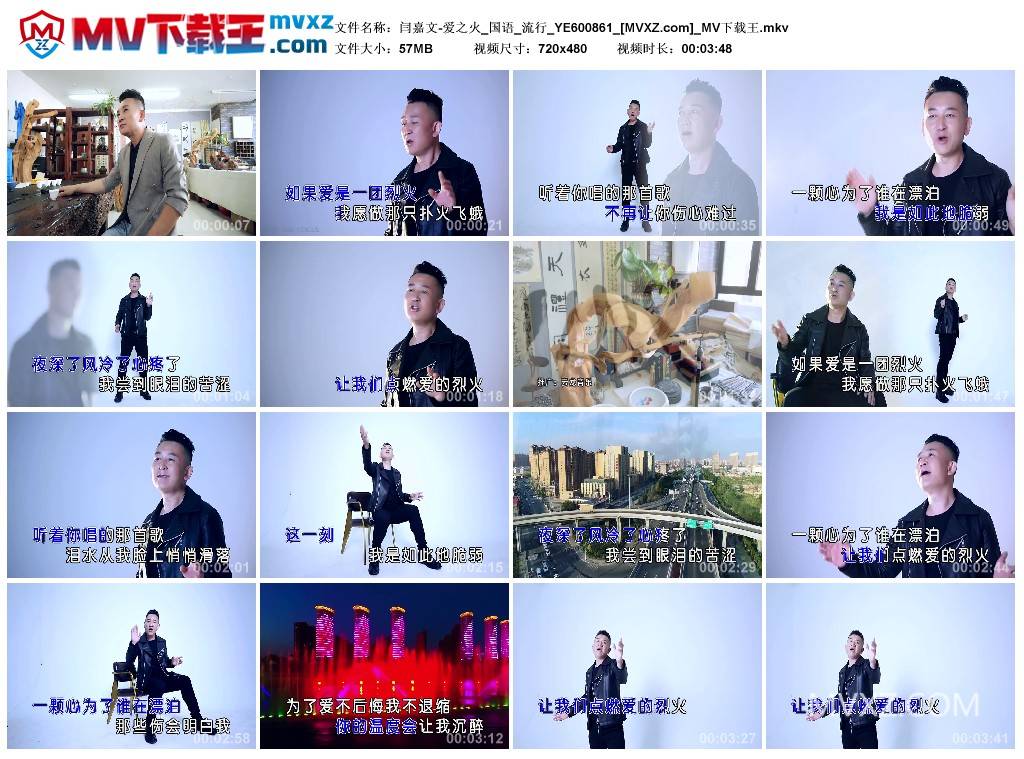 闫嘉文-爱之火_国语_流行_YE600861